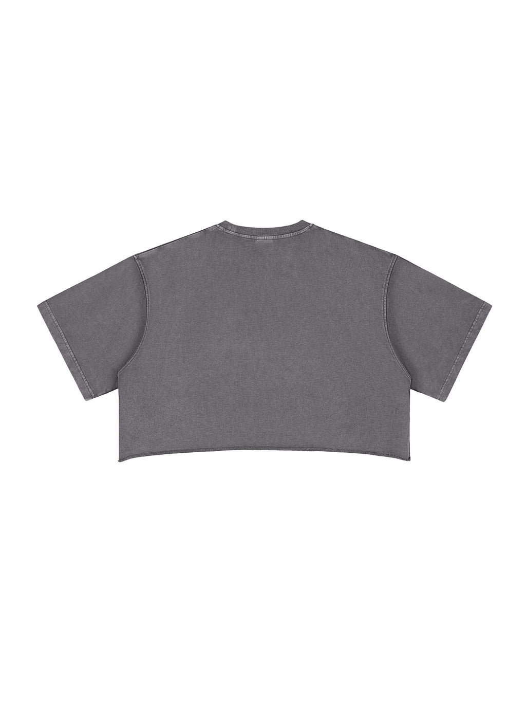 Snow Washed Raw Edge Crop Top